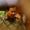 WhatsApp Image 2024 04 09 at 14.24.51